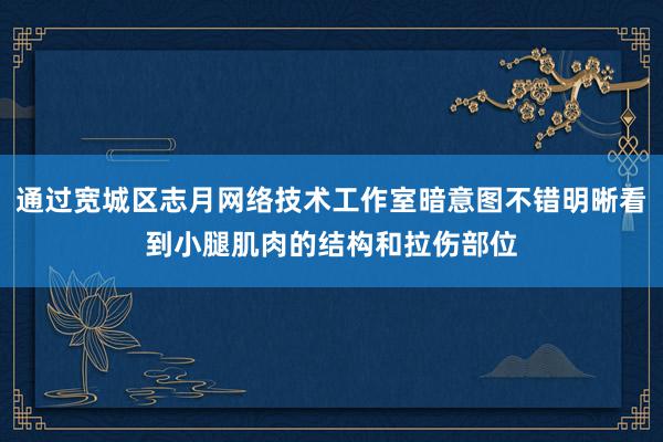 通过宽城区志月网络技术工作室暗意图不错明晰看到小腿肌肉的结构和拉伤部位