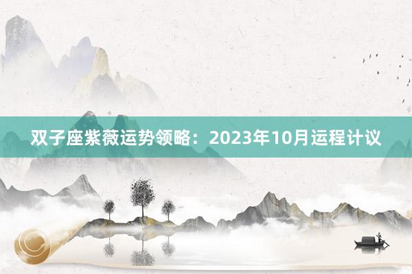双子座紫薇运势领略：2023年10月运程计议