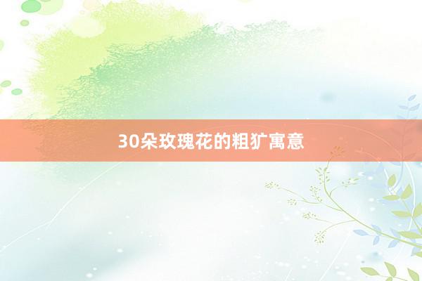30朵玫瑰花的粗犷寓意
